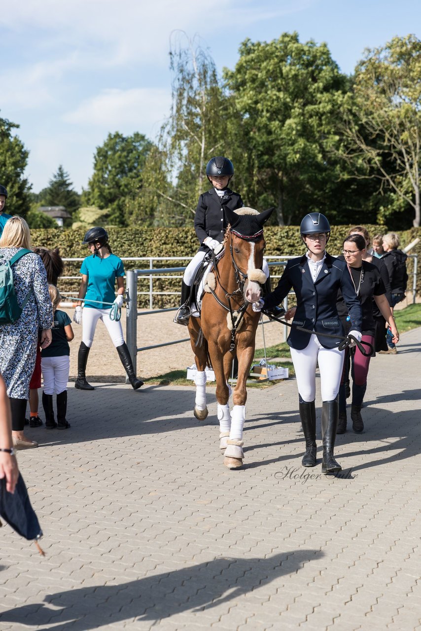 Bild 31 - Pony Akademie Turnier